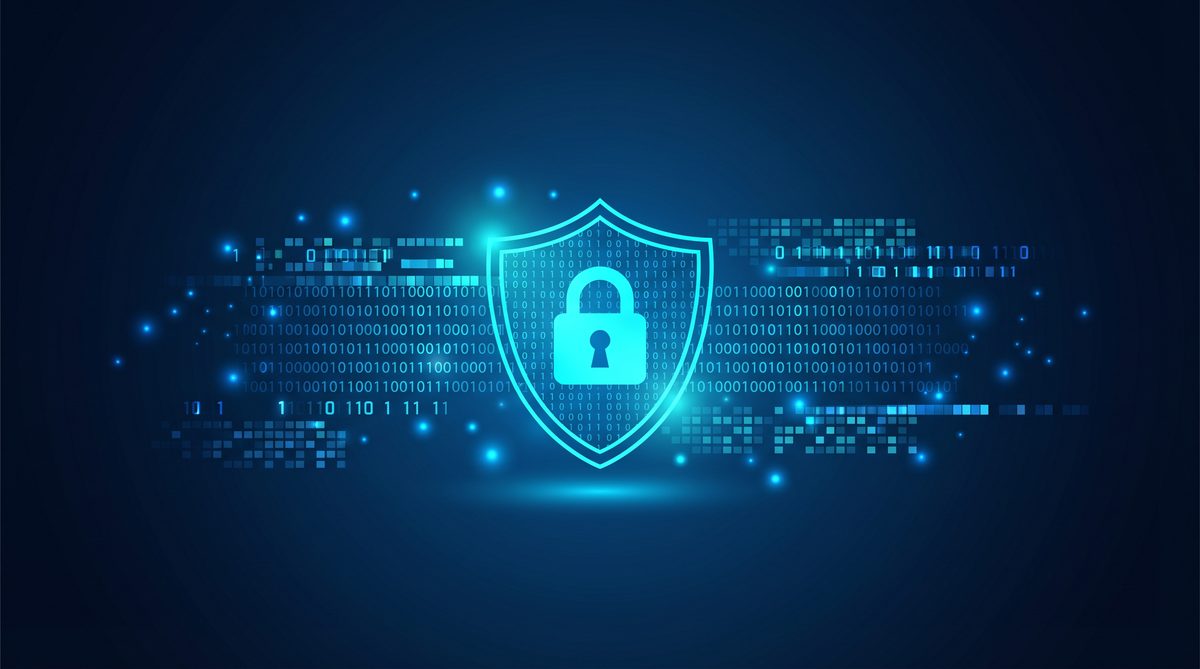 训猫加速器隐私安全保护